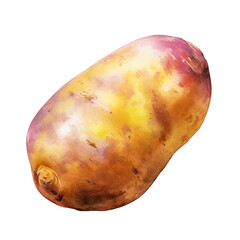 image of a potato with an artistic watercolour style, isolated white background, natural and appetising colours сreated with Generative Ai