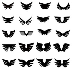 Fototapeta na wymiar Set of vector black wings icons. Wing badge. Badge wings collection. Vector illustration.