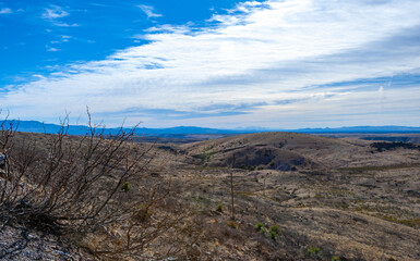 View of a deserted dry mountainous area covered with cacti and drought-resistant vegetation, white clouds in the sky, New Mexico