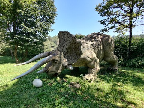 Bled, Slovenia, 16 JULY 2023: Dinosaur Park - beautiful dinosaurs in the forest 