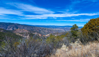 Scenic View of a dry mountainous area covered with isolated conifers, cacti and drought-resistant vegetation, New Mexico