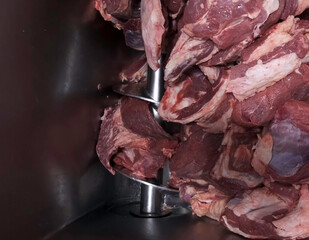 grinding meat in an industrial meat grinder. Auger meat grinder