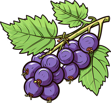 Illustration of Ripe Grapes on White Background