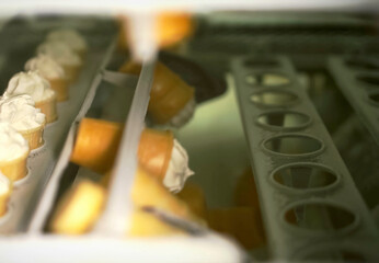 Plant for the production of ice cream of different varieties.