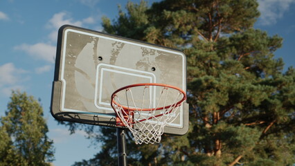 Basketball hoop on the background of the forest - sport and active lifestyle