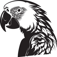 Veiled Elegance Shadowed Masquerade Icon Mystic Mirage Intriguing Masquerade Ball Graphic