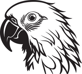 Midnight Mystery Mysterious Mask Vector Noir Nostalgia Shadowed Masquerade Concept