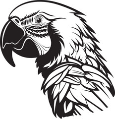 Midnight Mystery Elegant Silhouette Mask Concept Mystic Mirage Mysterious Masquerade Ball Vector