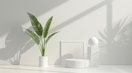 A white room with a white wall and a white plant in a white pot