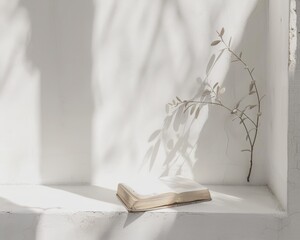 Old Holy Bible in a clean white minimalist setting where faith meets design