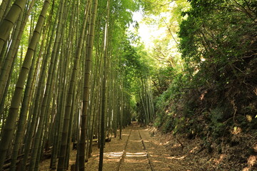 Fototapeta premium 倉吉廃線跡