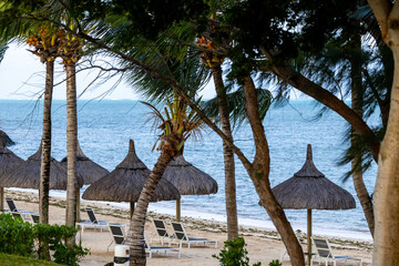 Sun umbrella and beach beds on tropical coastline, in Mauritius