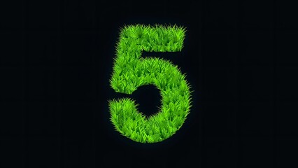 Beautiful illustration of number 5 with green grass effect on plain black background