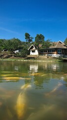 Fototapeta na wymiar Beautiful house design with koi fish in the pond at E-Tong village.