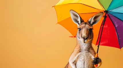  Cheerful kangaroo with a colorful umbrella, enjoying a sunny day, on a simple yet striking solid color background © Jenjira