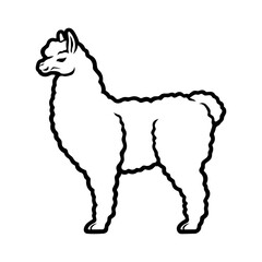 Fototapeta premium Outline drawing of an animal lama on a white background.
