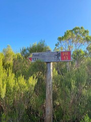 signs along hiking route in Madeira forest near Fanal