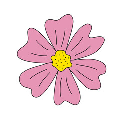 Meadow or daisy flower head, spring design element, vector