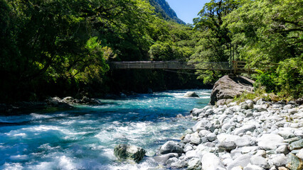 Hollyford River