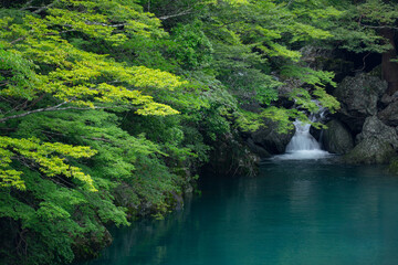 新緑と小さな滝