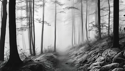 Foto op Plexiglas Path in the foggy forest - Black and white artwork © ArtDingo