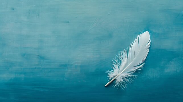 The image shows a close-up view of a single white feather against a blue background.