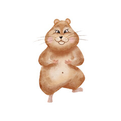 Watercolor hamster. Funny fat hamster isolated on white background. Illustration for nursery, stickers, greetings, postcards.