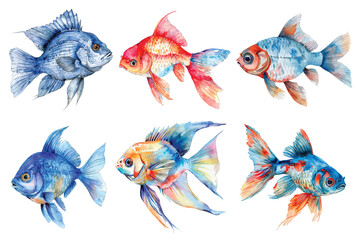 A set of vector Watercolor Fish. For scrapbook, label, poster, print