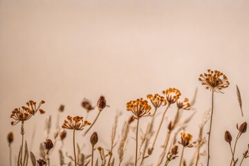 dried flowers on blurred beige background
