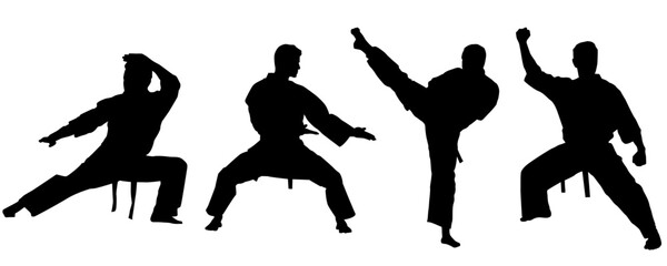 Silhouettes, Sport Men Silhouettes, Karate, Martial Arts, Athletic, Collection, Sport Silhouette, Kata, Power, Training, Combat, Isolated, Vector Illustration © Elena