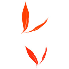 illustration of a leaf