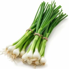 Spring onions isolated on white background
