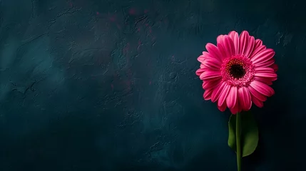 Deurstickers Pink Gerbera Flower © TY