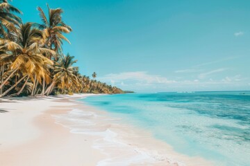 Tropical beach with palm trees. Summer landscape concept. Travel and vacation. Beauty of nature....