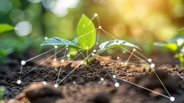An illustration of a young bean plant on a sunny background of a digital mineral nutrient icon. Microelements for plant nutrition. Fertilization and the role of nutrients in plant growth. Plant life