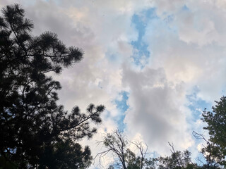 Obraz premium clouds and sky