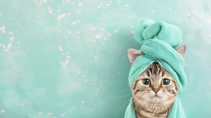 Store enrouleur Salon de beauté A tabby cat with striking eyes wrapped in a green towel with turban set against a teal background with snow effect