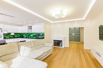 standard interior apartment. living room with sofa