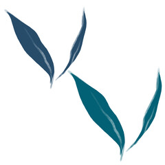 leaves on white background