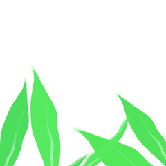green bamboo leaves