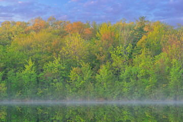 Spring landscape at dawn of the shoreline of  Long Lake with fog and with mirrored reflections in calm water, Yankee Springs State Park, Michigan, USA