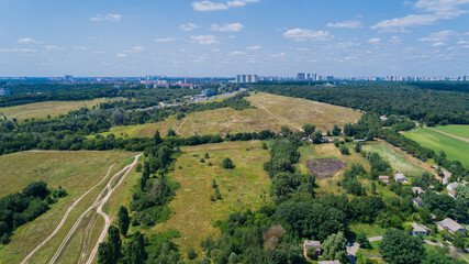 Drone aerial view summer nature landscape in sunny day, green trees forest, field