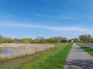 Fototapeta na wymiar Radweg am Teich in Pritzerbe im Havelland