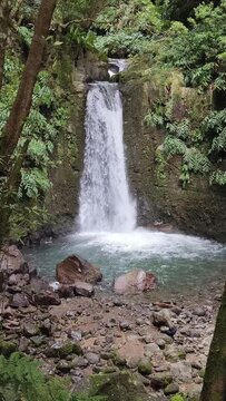 Salto do Prego waterfall lost in the rainforest, Sao Miguel Island, Azores, Portugal