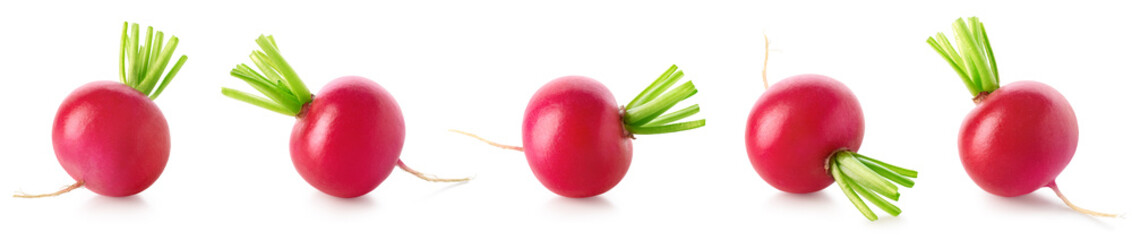 Collection of fresh small garden radishes on white background