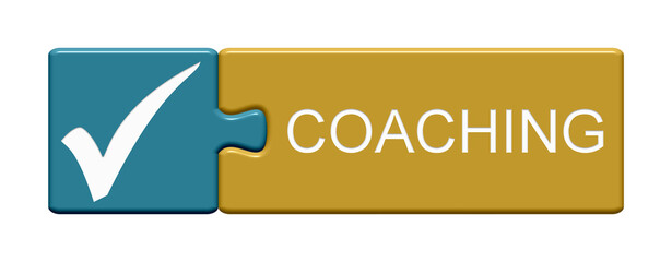 Coaching - Puzzle Button mit Häkchen - 764912113