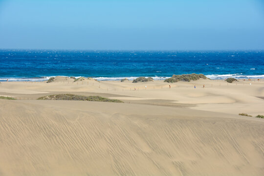 Sandy beach of Maspalomas with a view of the sea on Gran Canaria in Spain