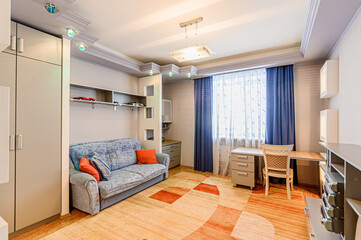 standard interior apartment. living room with sofa