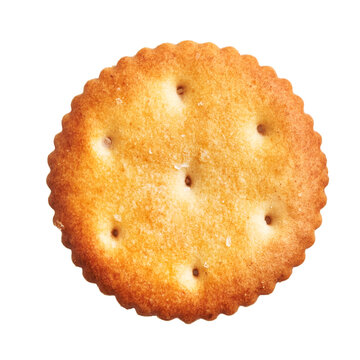  Delicious single salty biscuit over isolated white background