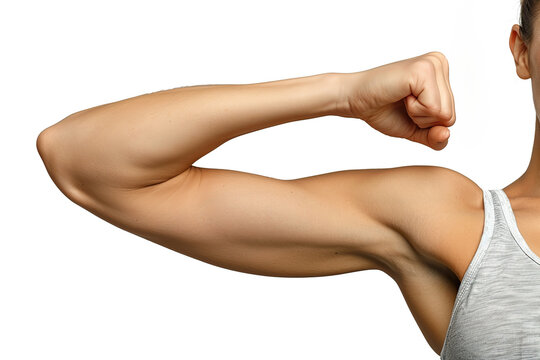a woman's arm with biceps